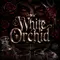 White Orchid 