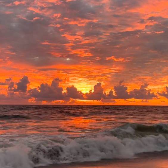 goodnovel comment avatar