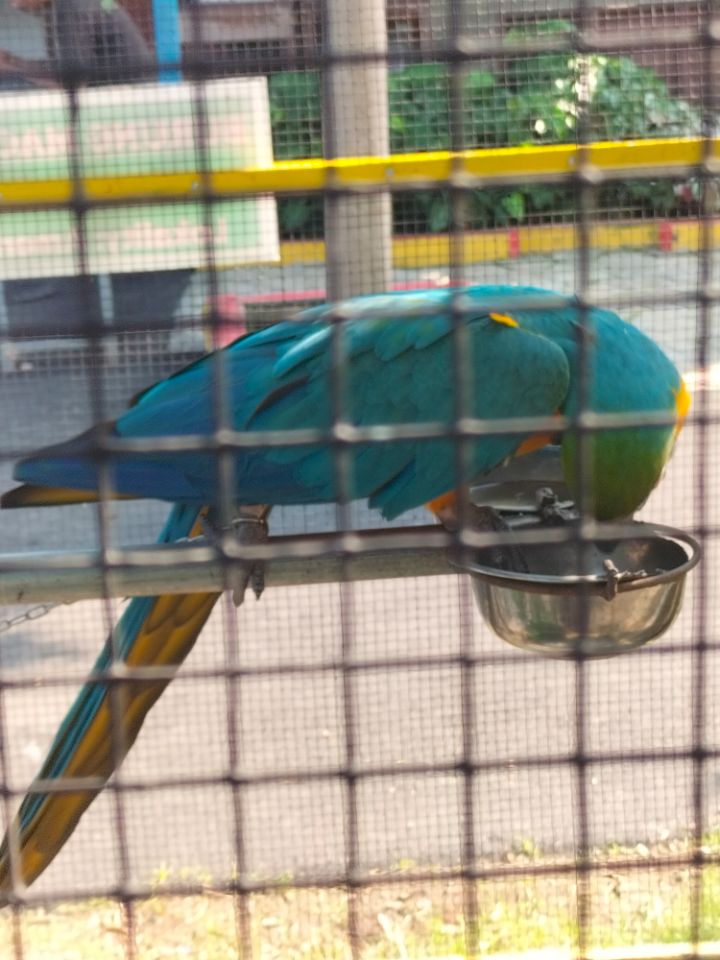 goodnovel comment avatar