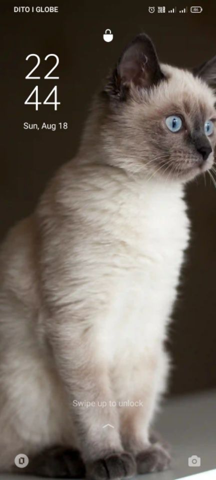 goodnovel comment avatar