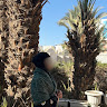 goodnovel comment avatar