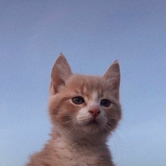 Someone’s Favorite Writer