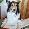 goodnovel comment avatar