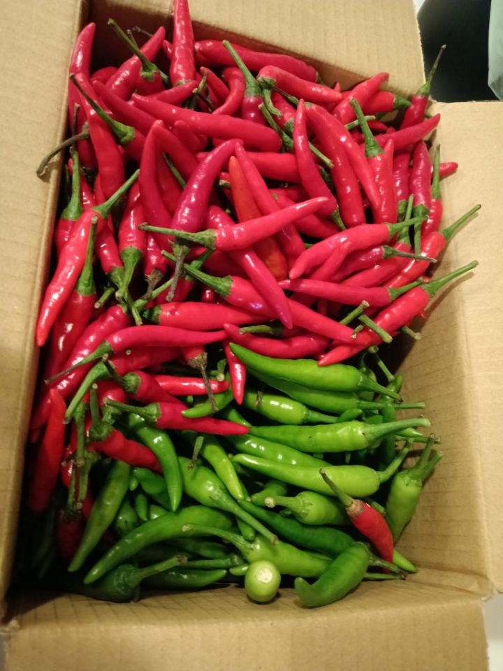 goodnovel comment avatar