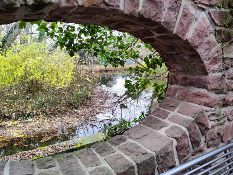 goodnovel comment avatar