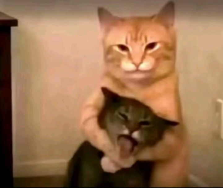 goodnovel comment avatar