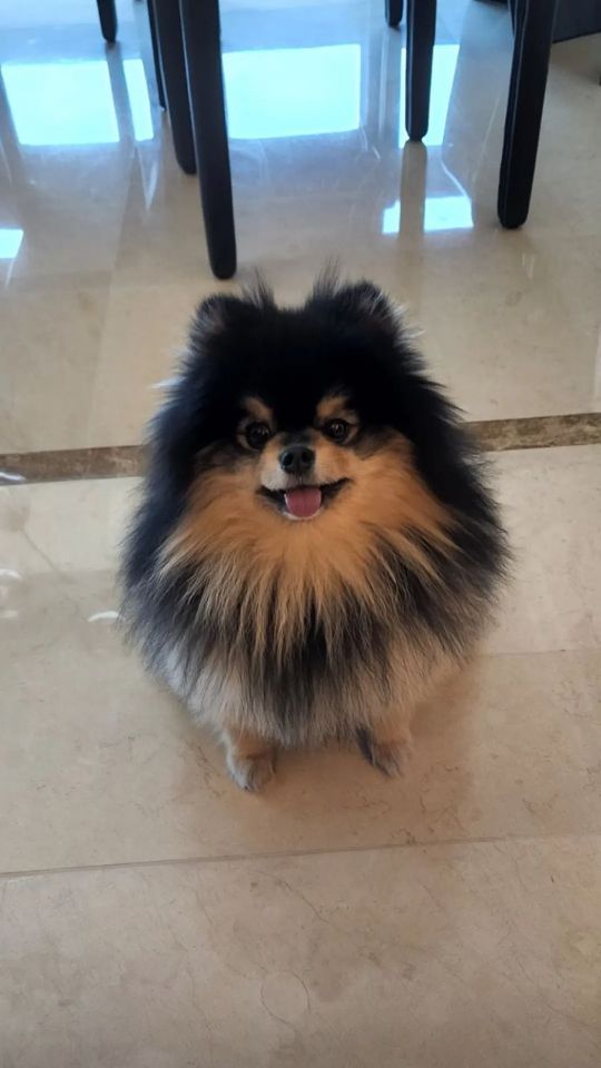 goodnovel comment avatar