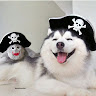 goodnovel comment avatar