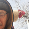goodnovel comment avatar