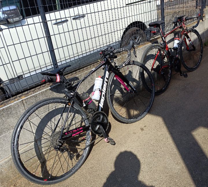 goodnovel comment avatar