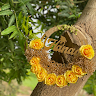 goodnovel comment avatar