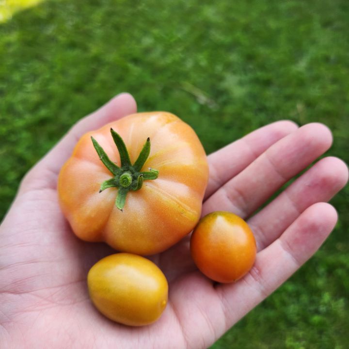 goodnovel comment avatar