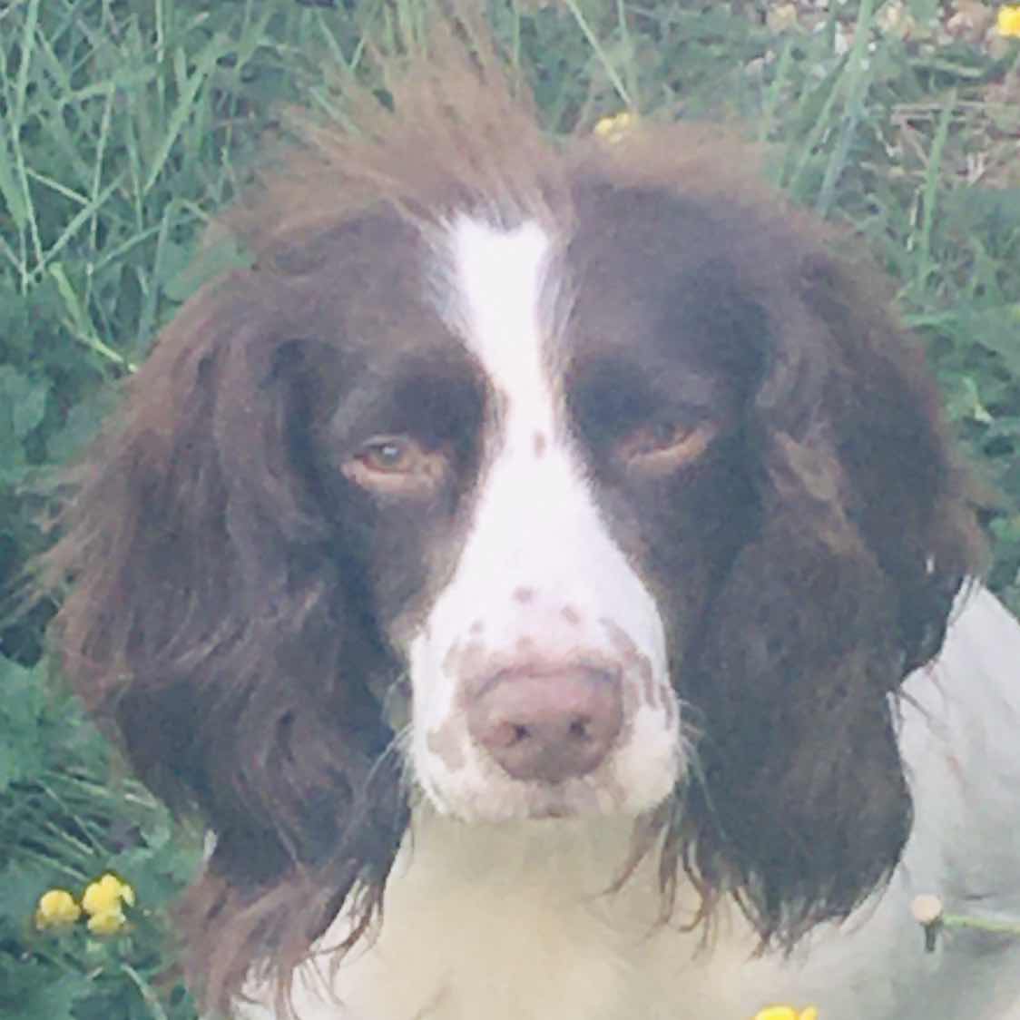 goodnovel comment avatar