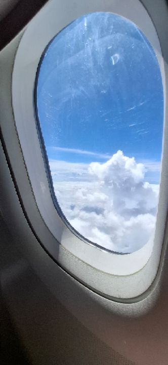 goodnovel comment avatar