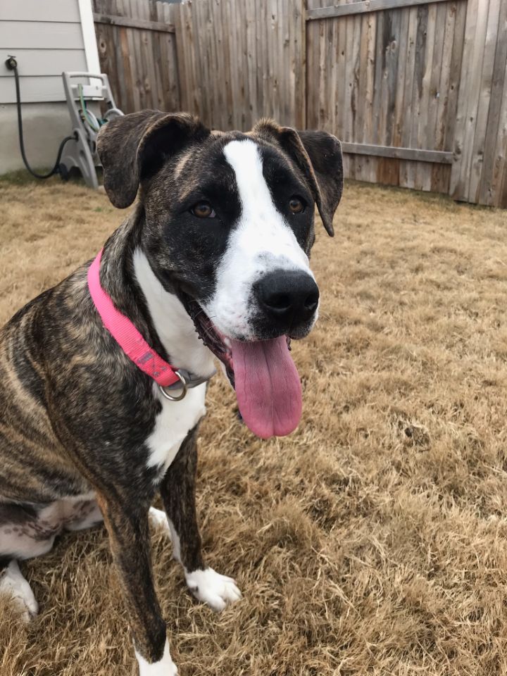 goodnovel comment avatar