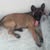 goodnovel comment avatar