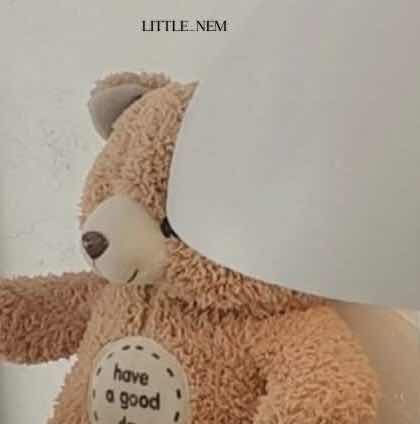 Little_nem