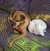 goodnovel comment avatar
