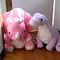 ひろっぴ