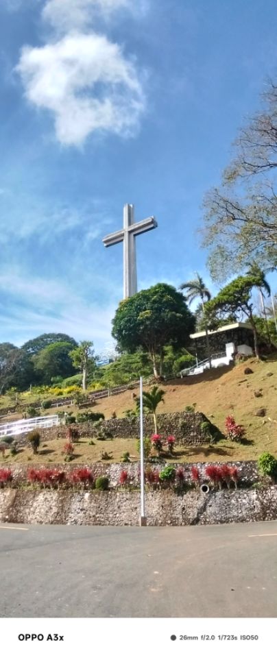 goodnovel comment avatar