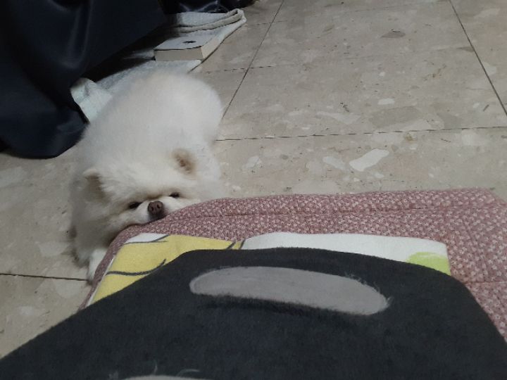 goodnovel comment avatar