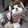 goodnovel comment avatar