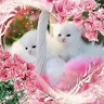goodnovel comment avatar