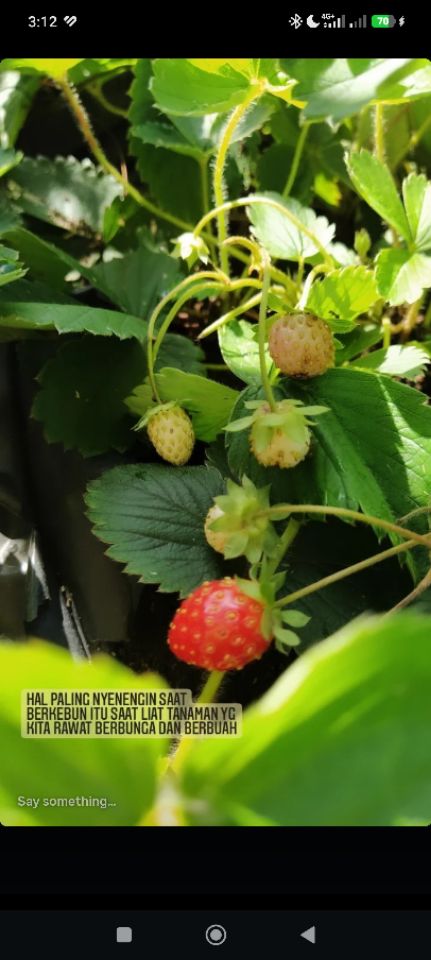 goodnovel comment avatar