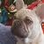 goodnovel comment avatar