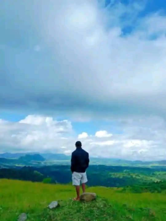 goodnovel comment avatar