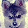 goodnovel comment avatar