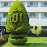 goodnovel comment avatar
