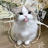 goodnovel comment avatar