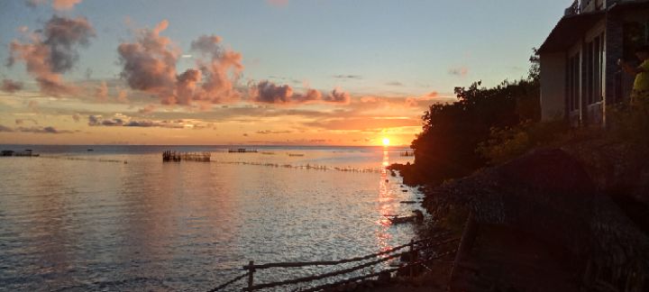 goodnovel comment avatar