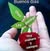 goodnovel comment avatar