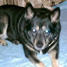 goodnovel comment avatar