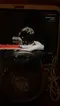 ‌‌      ‌