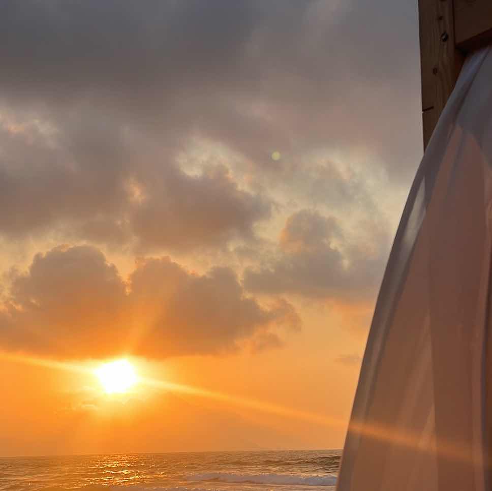 goodnovel comment avatar