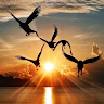 goodnovel comment avatar