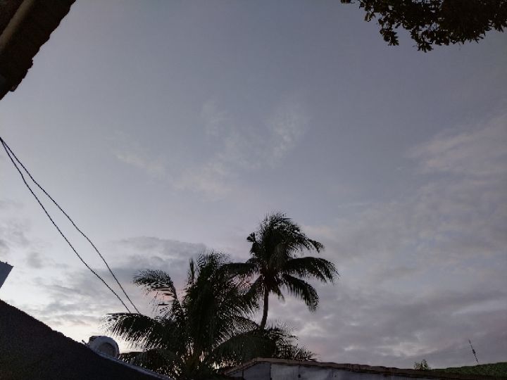 goodnovel comment avatar