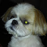 goodnovel comment avatar