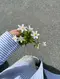 اهسنيه باك