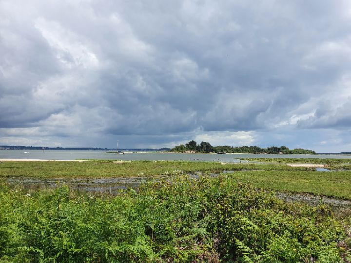 goodnovel comment avatar