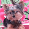 goodnovel comment avatar