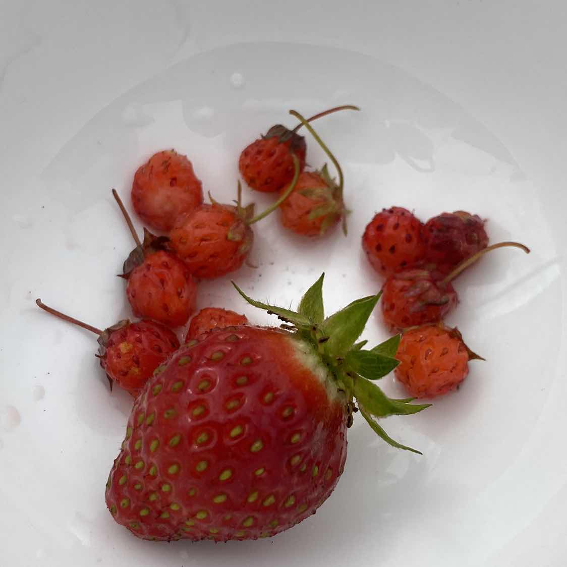 goodnovel comment avatar