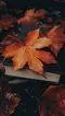 Maple