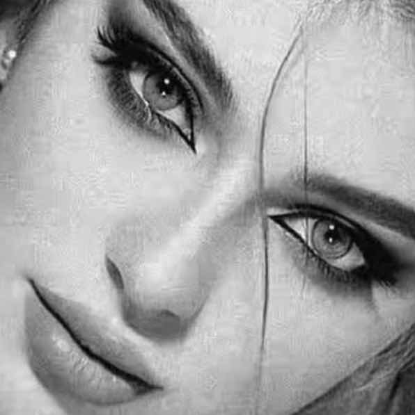 goodnovel comment avatar