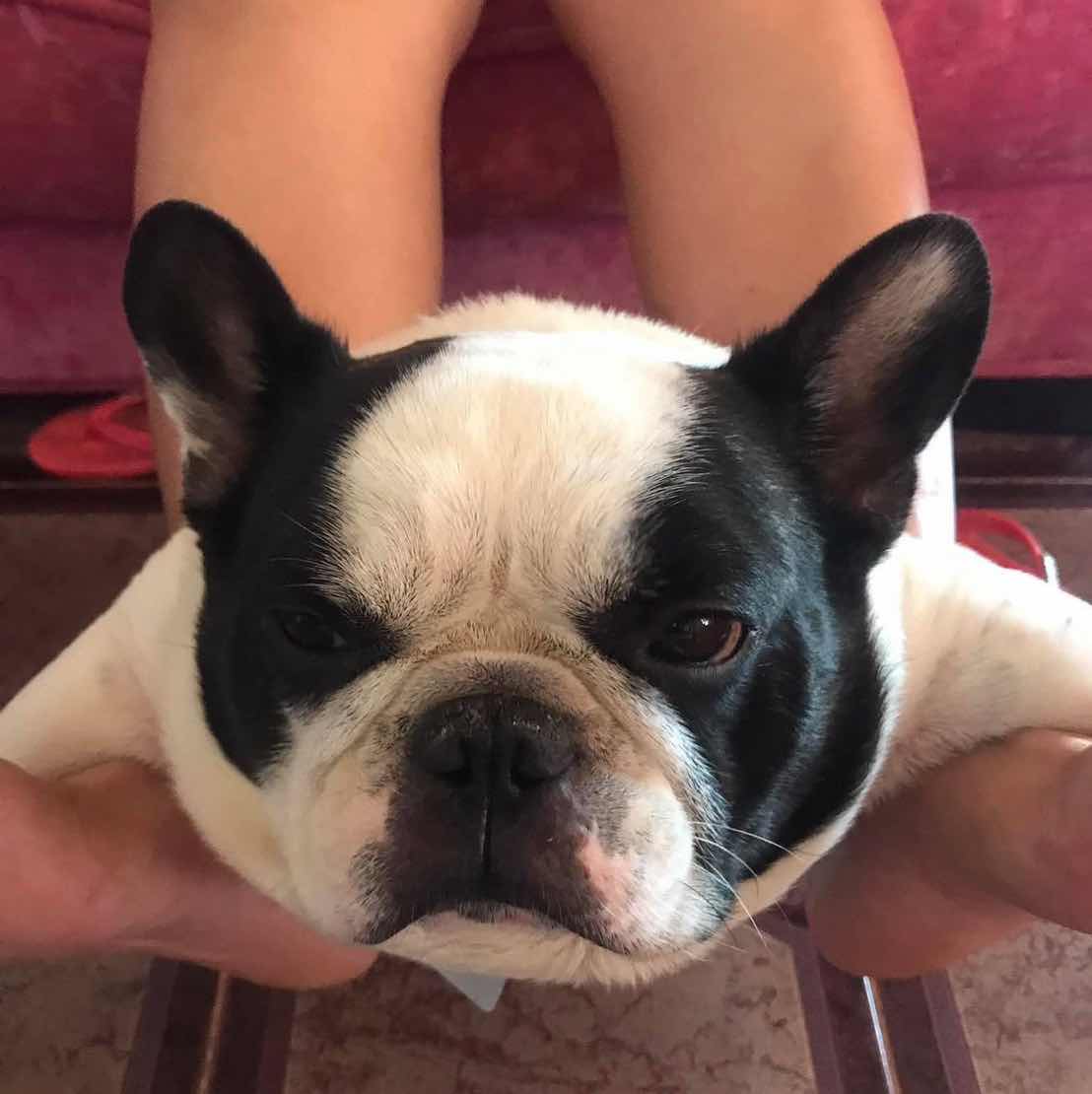 goodnovel comment avatar