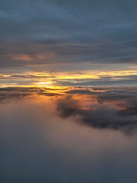 goodnovel comment avatar