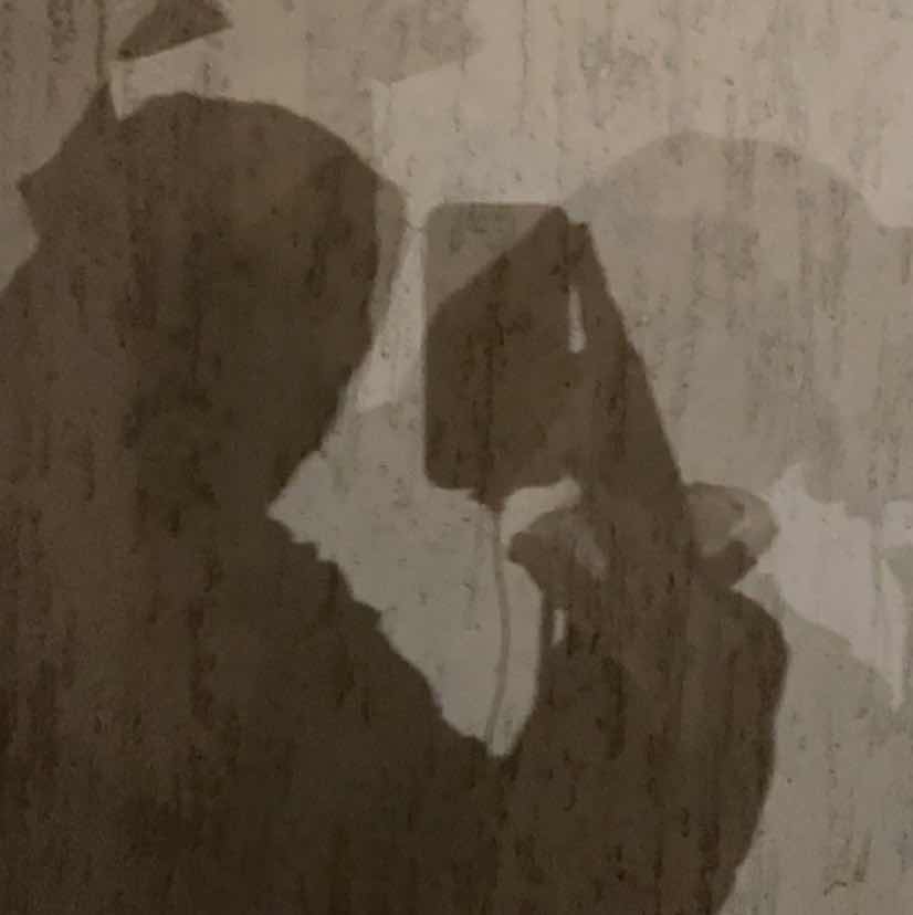 goodnovel comment avatar